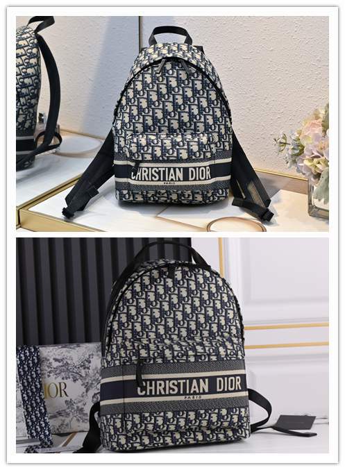 Picture of Dior Handbags _SKUfw239323733fw